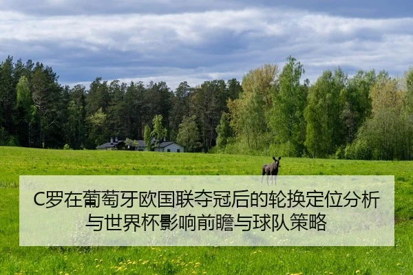 C罗在葡萄牙欧国联夺冠后的轮换定位分析与世界杯影响前瞻与球队策略