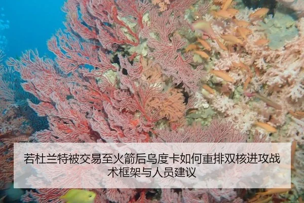 若杜兰特被交易至火箭后乌度卡如何重排双核进攻战术框架与人员建议