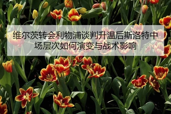 维尔茨转会利物浦谈判升温后斯洛特中场层次如何演变与战术影响